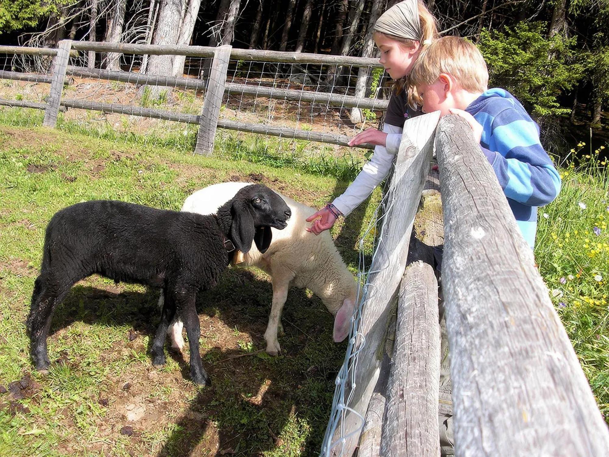 Farm stay Binterhof *