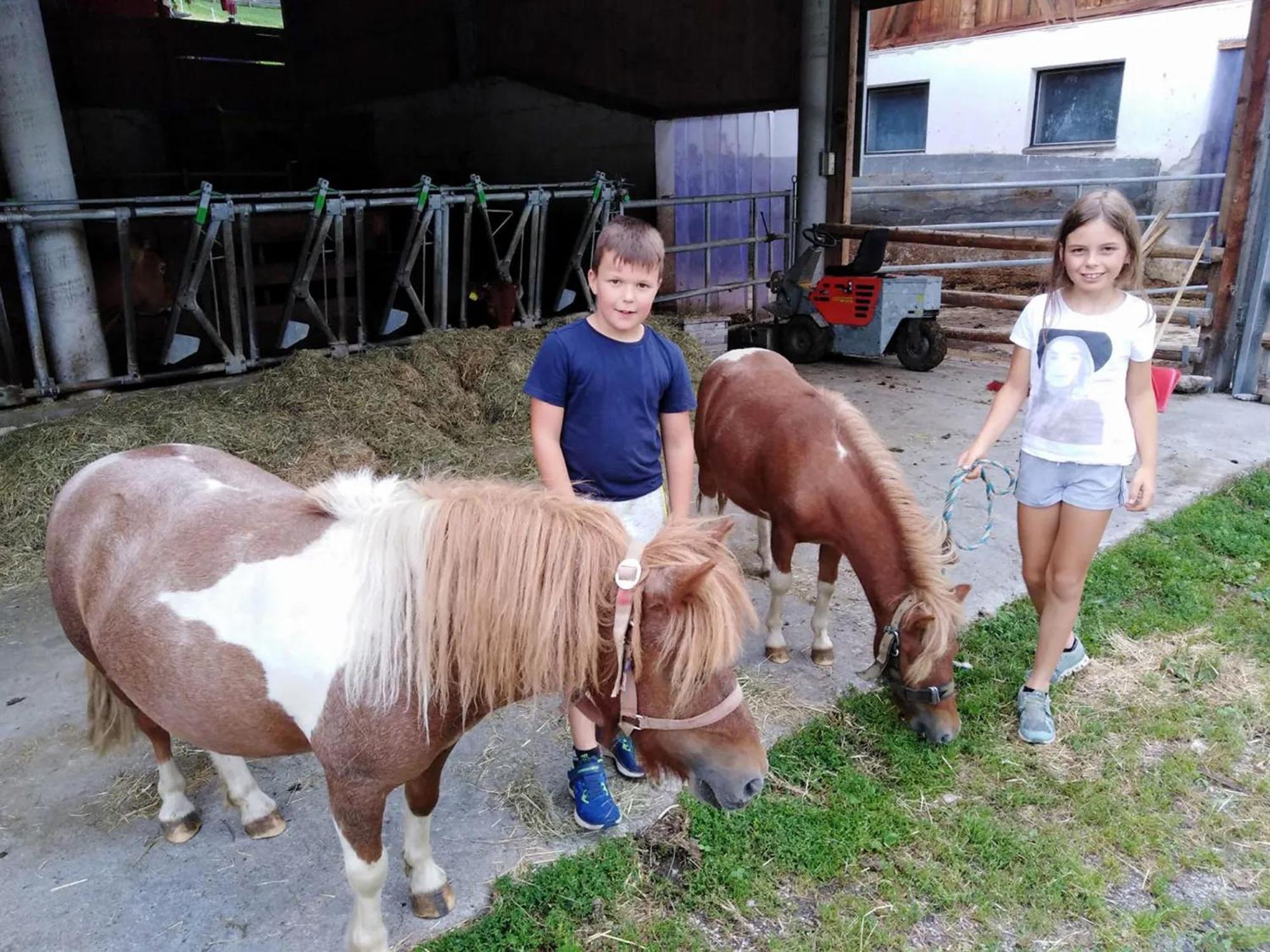 Binterhof Farm stay